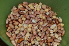 Poner en remojo alubias la víspera