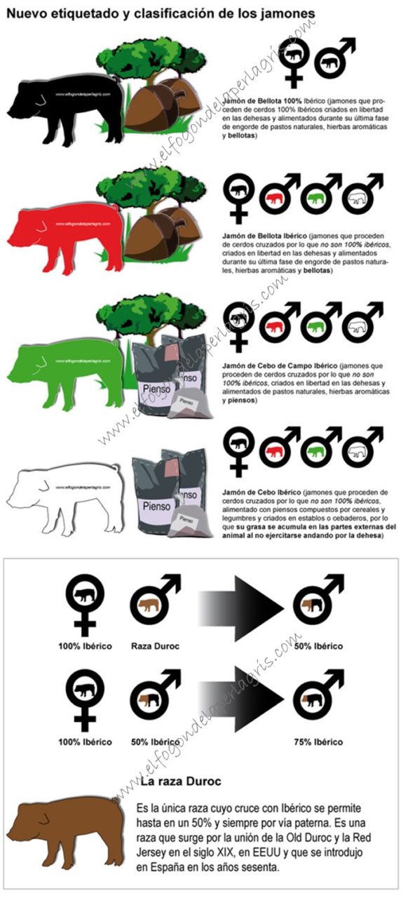 Etiquetado del jamón ibérico Etiquetado del jamón ibérico