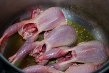 Dorar codornices Dorar codornices