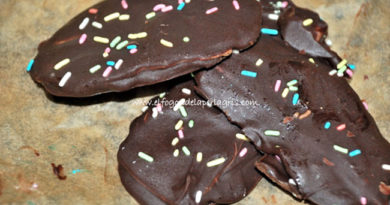 Galletas de mango natural y chocolate