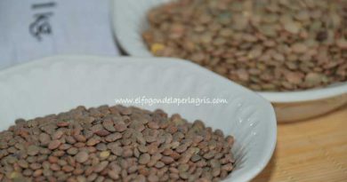 Tipos o variedades de lentejas