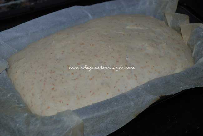 Masa de doble fermentación Masa de doble fermentación