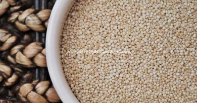 Quinoa, qué es la quinoa, propiedades quinua y forma de cocinarla