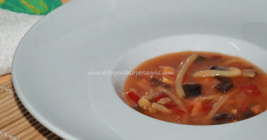 Sopa pekinesa casera.