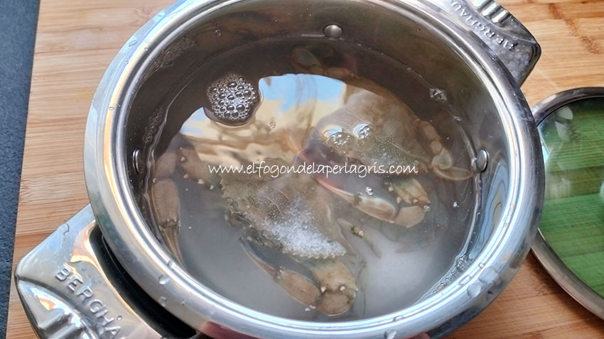 Cocer cangrejo azul